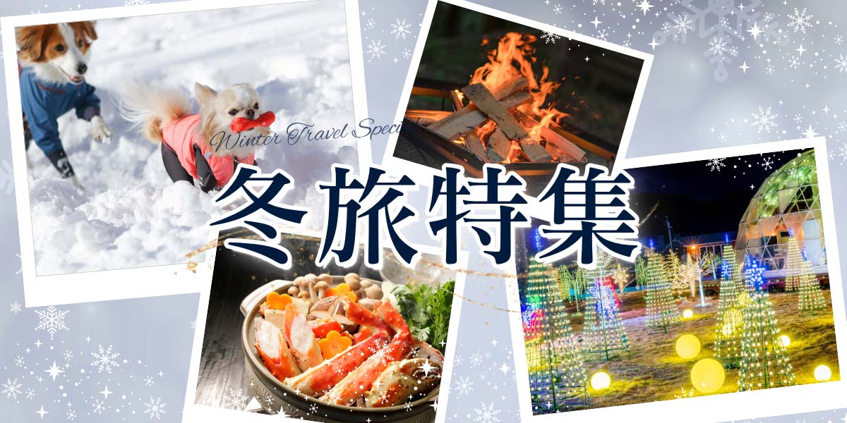 冬季假期和新年假期的推薦豪華露營設施