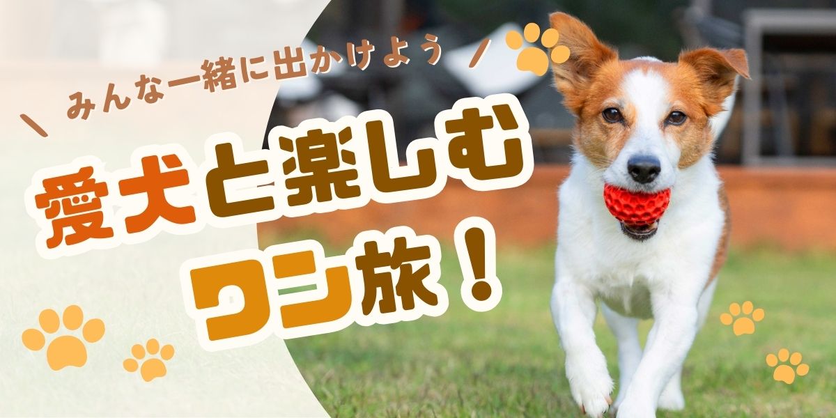 愛犬と一緒に泊まれるグランピング施設特集