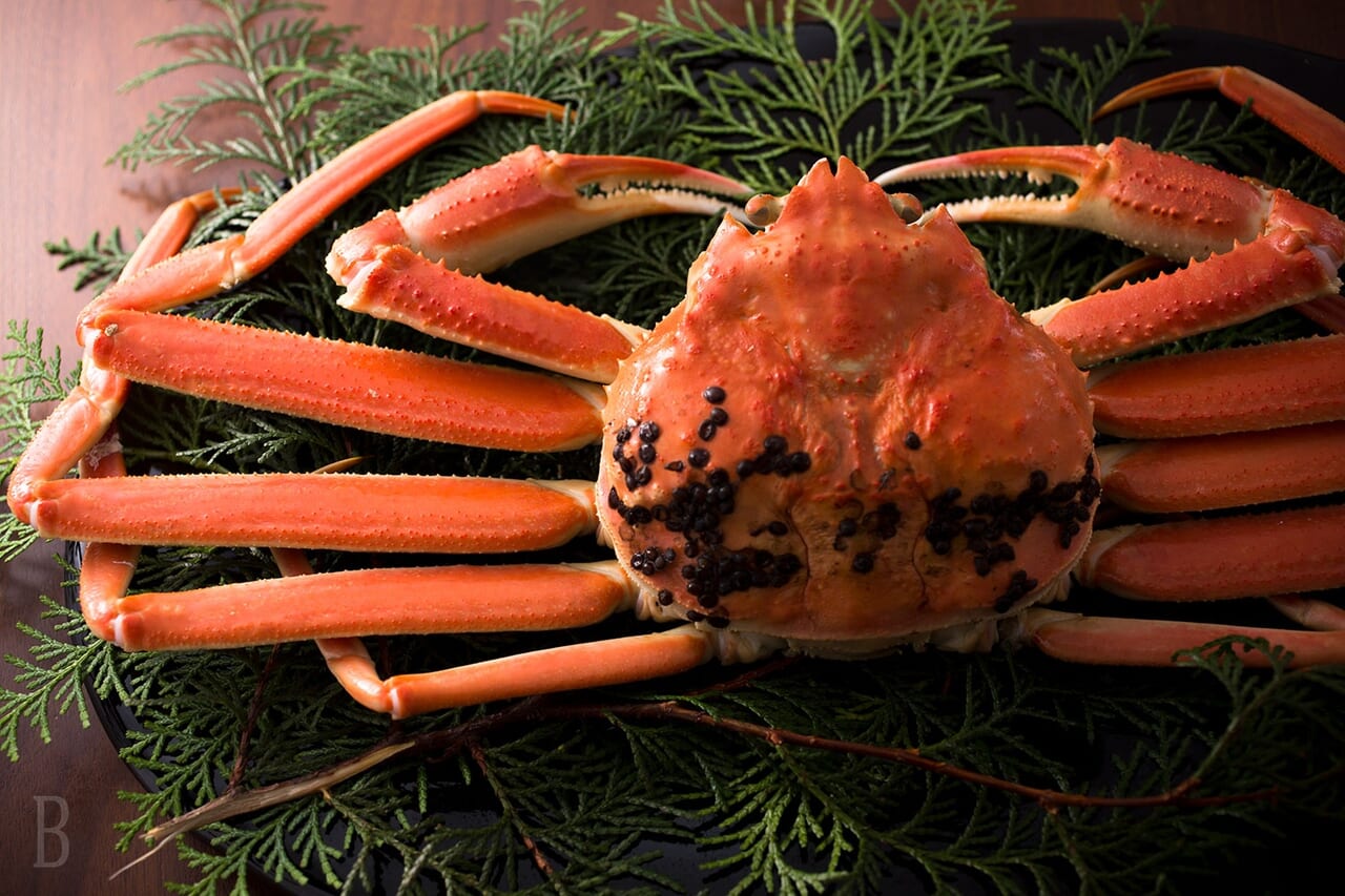 海の恵みと骨付き肉を豪快に味わう プレミアムBBQ