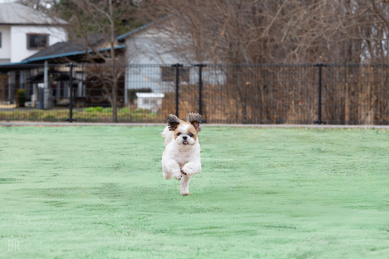 グランフィルリゾーツ東武 – Granphil Resorts Tobu【埼玉】