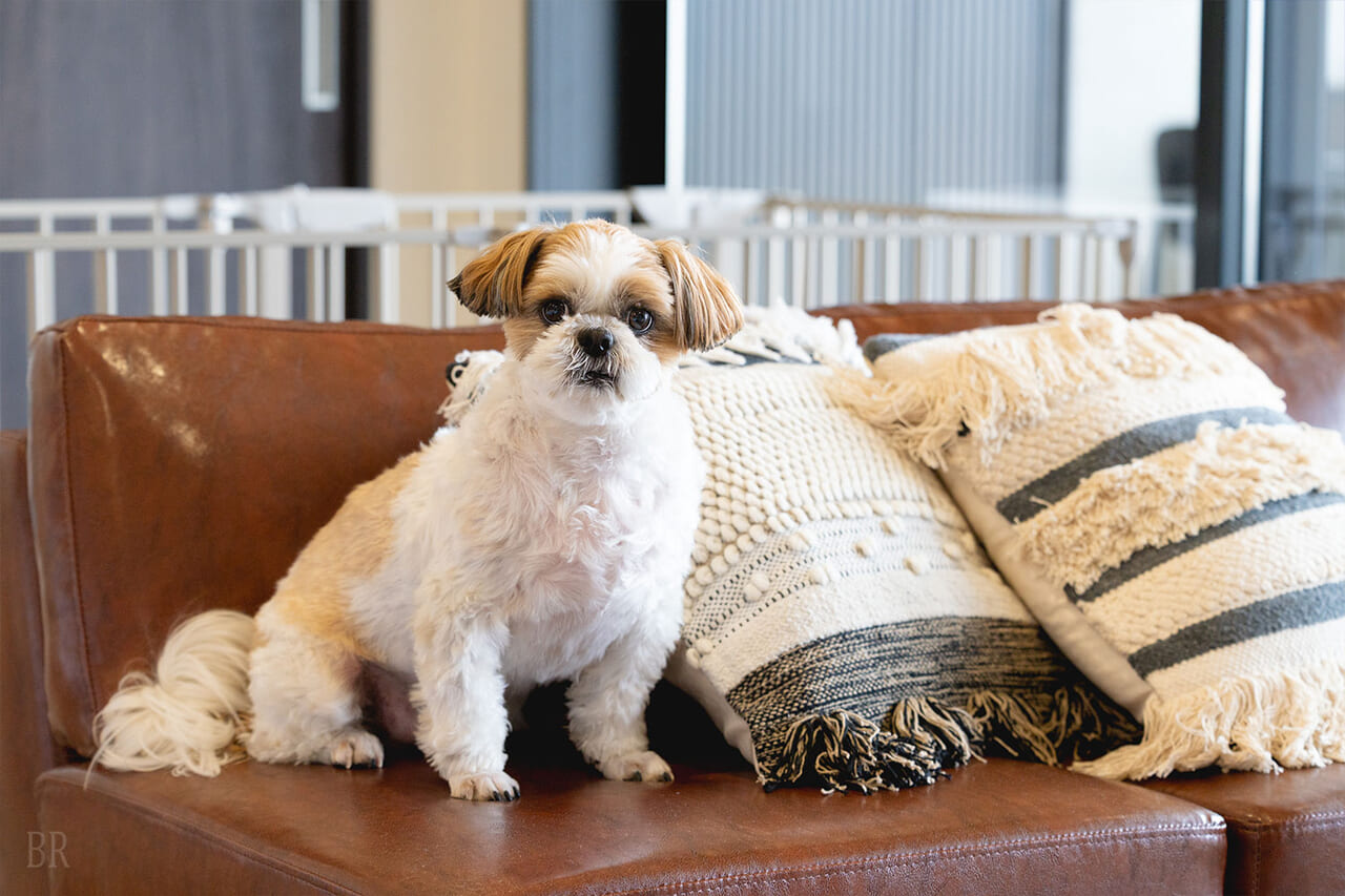 <シンフォニーヴィラ>コーナーテラス