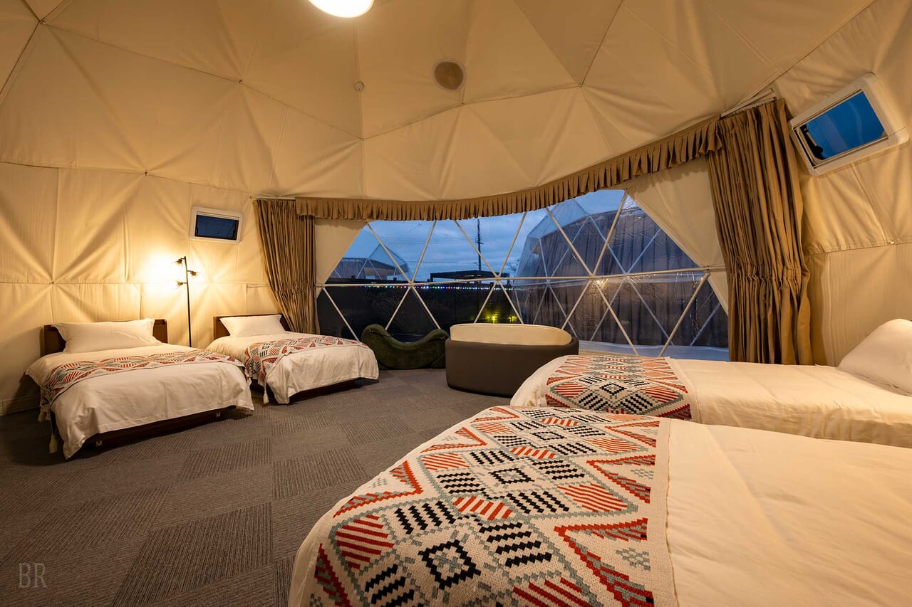 ドッグツインドーム