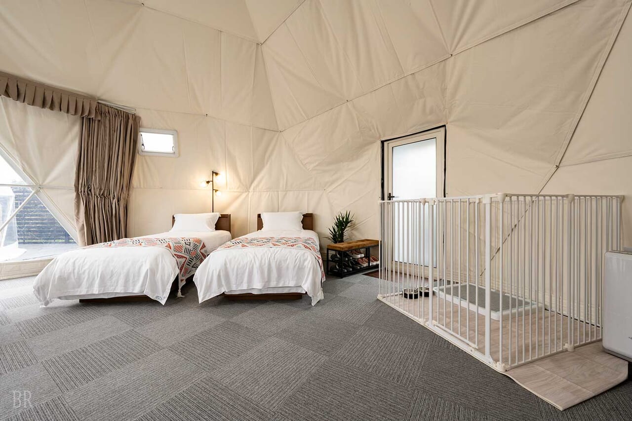 ドッグツインドーム