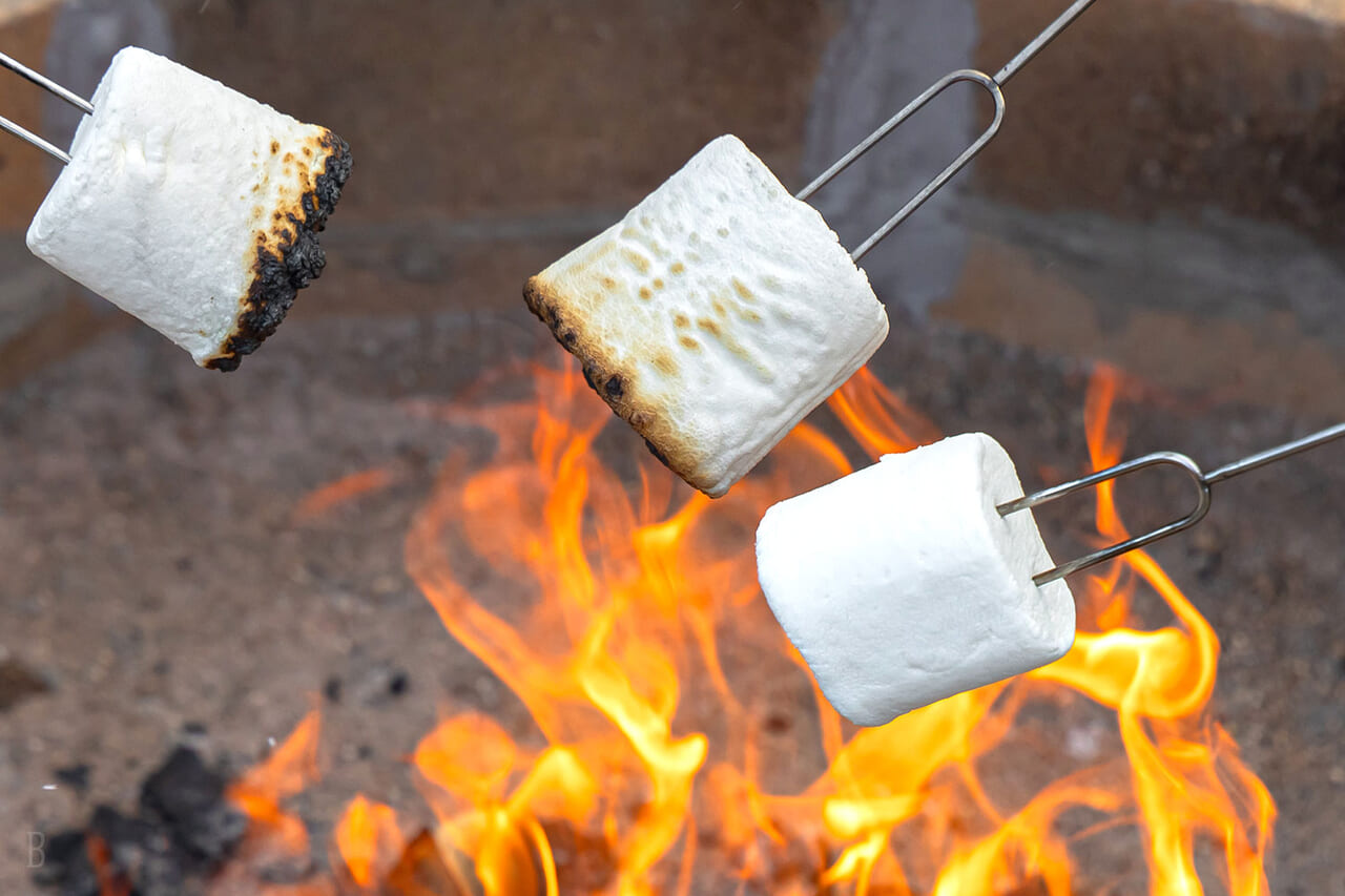 Bonfire experience (roasting marshmallows)