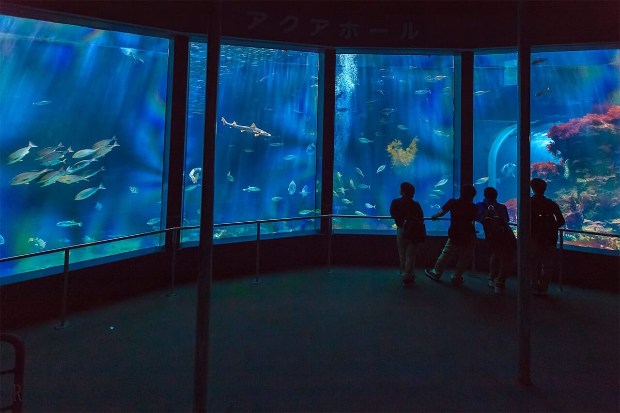下田海中水族館