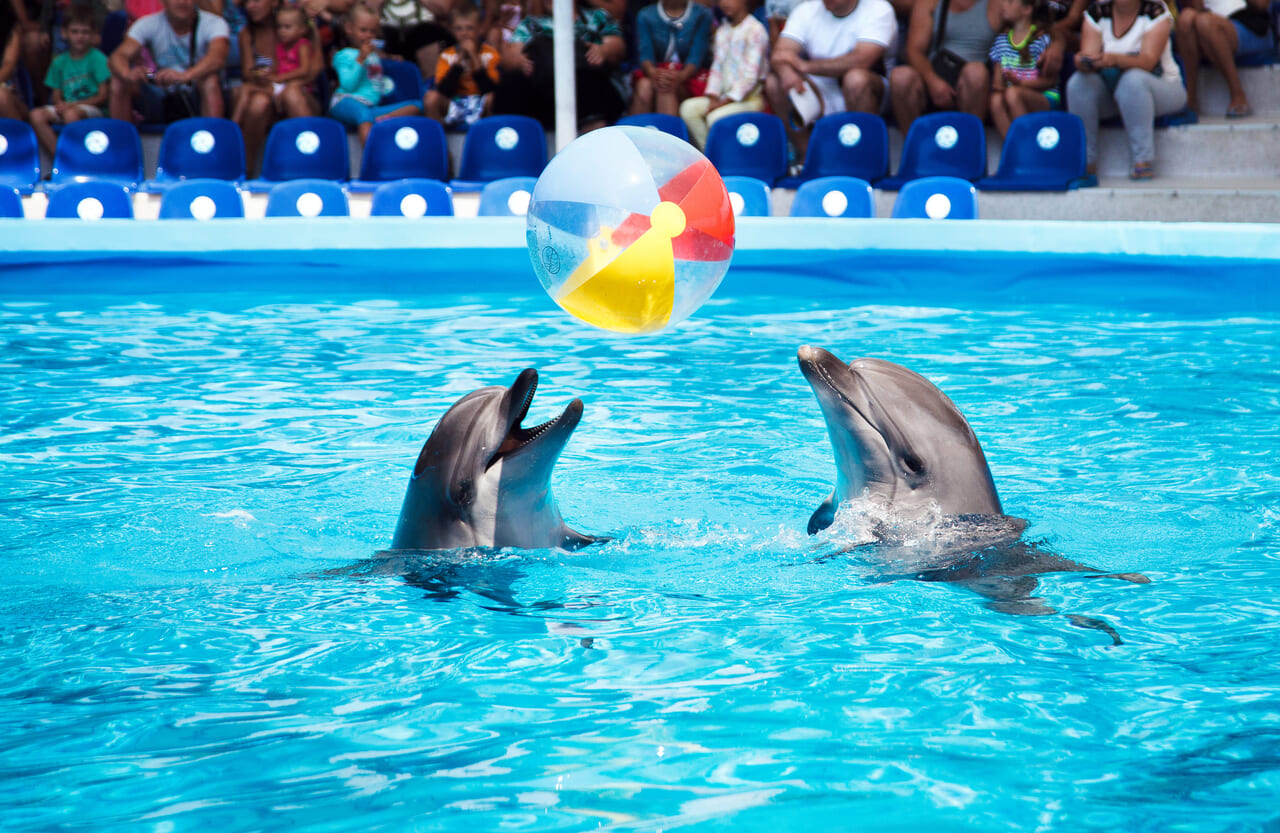 京都水族館