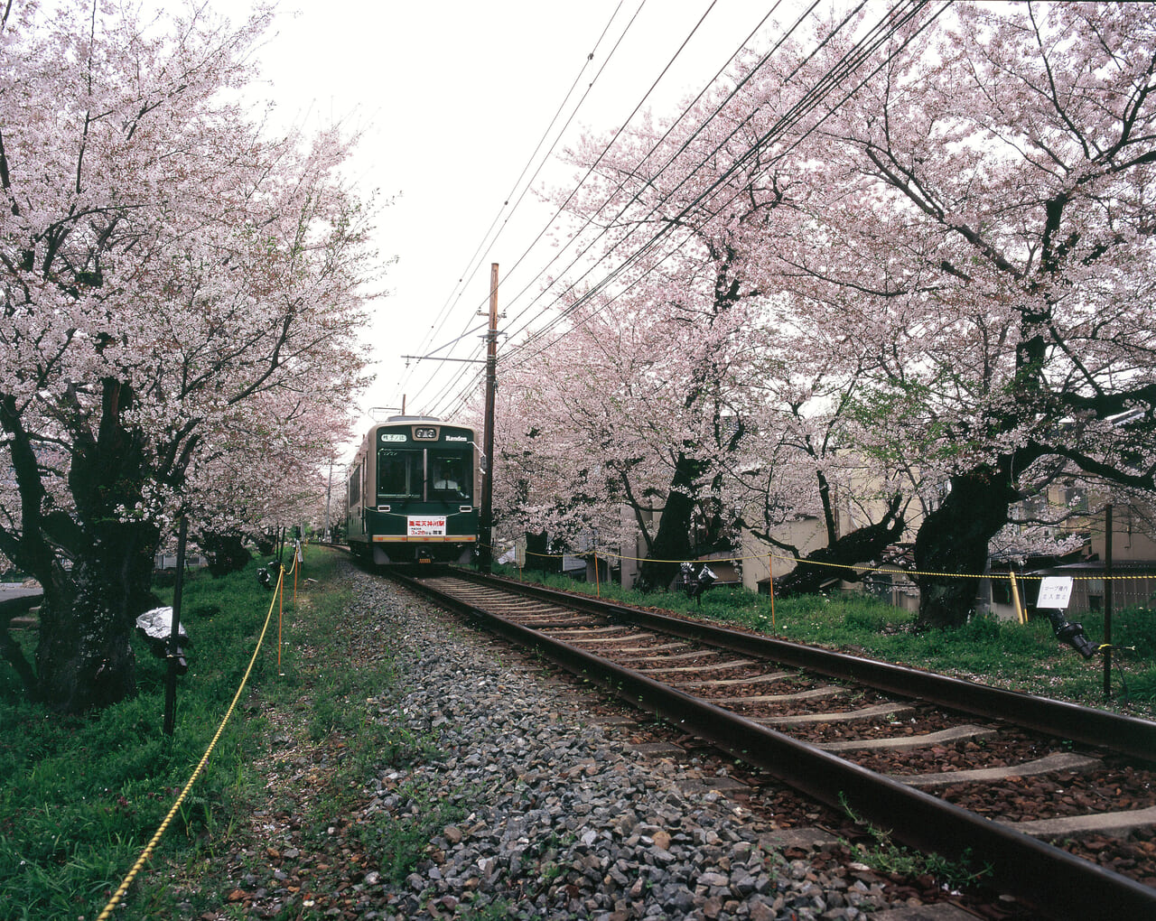 嵐山