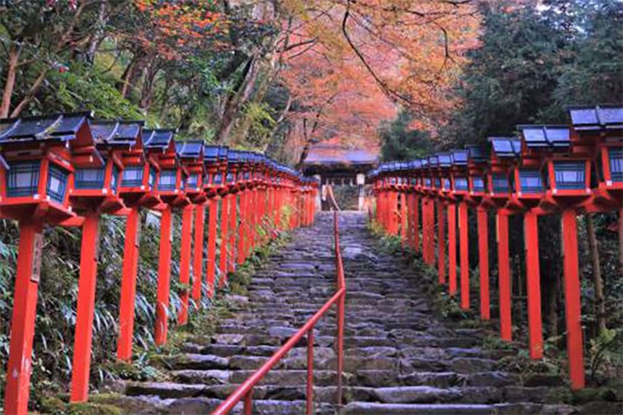 紅葉