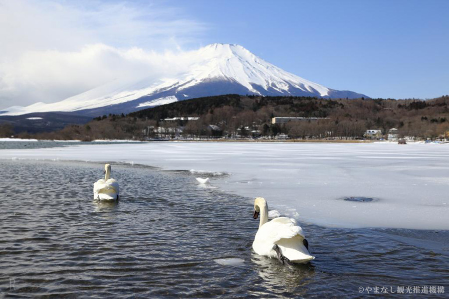 山中湖