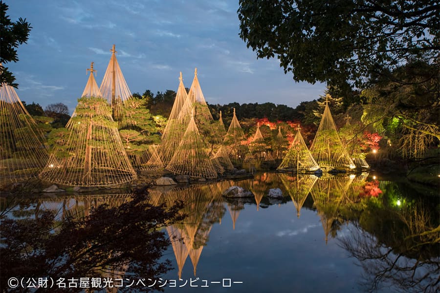 白鸟花园