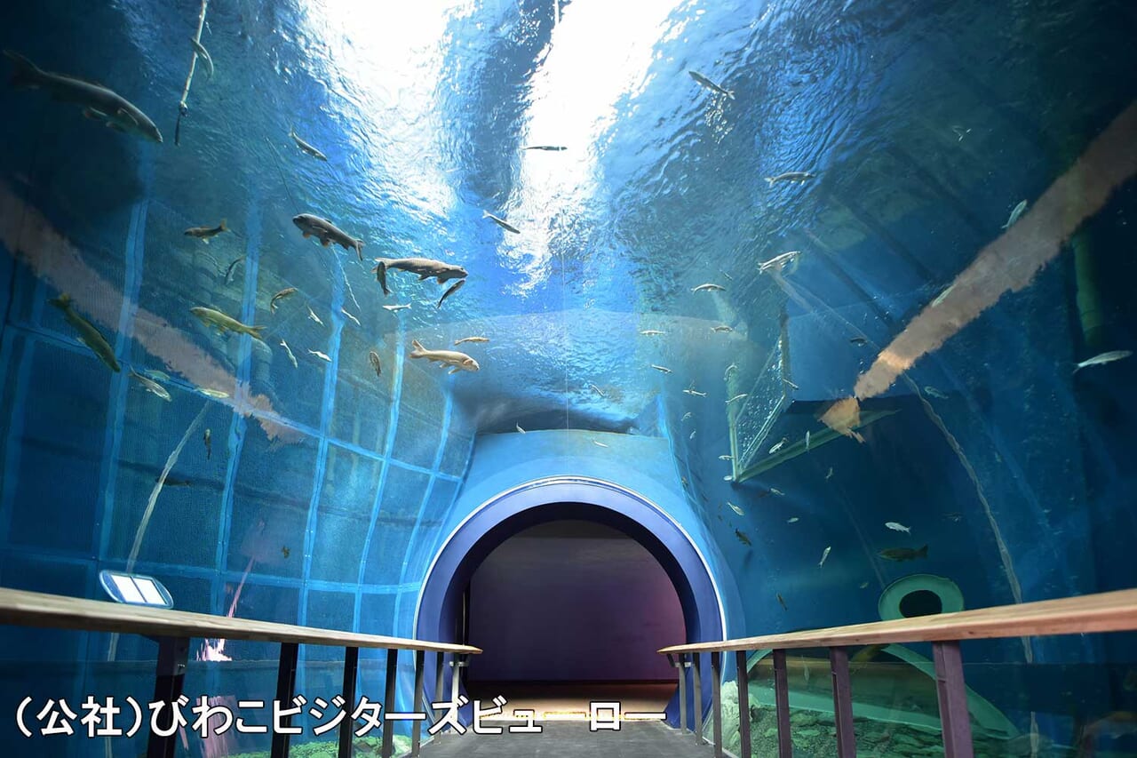 Lake Biwa Museum