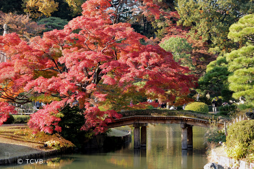六義園