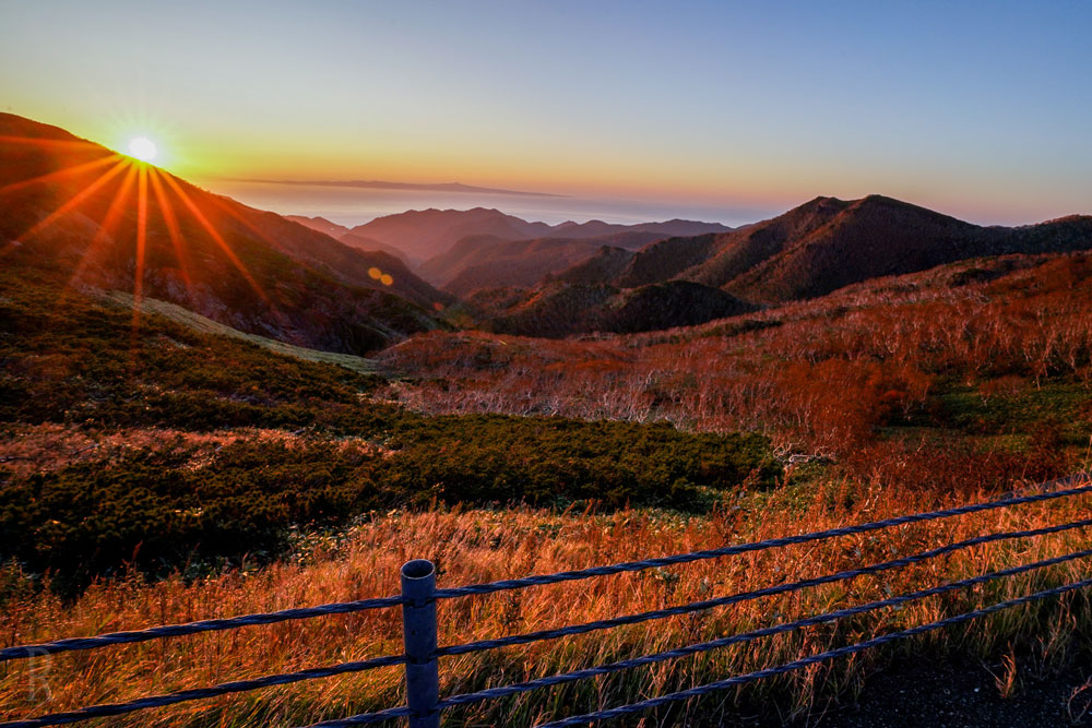北海道紅葉