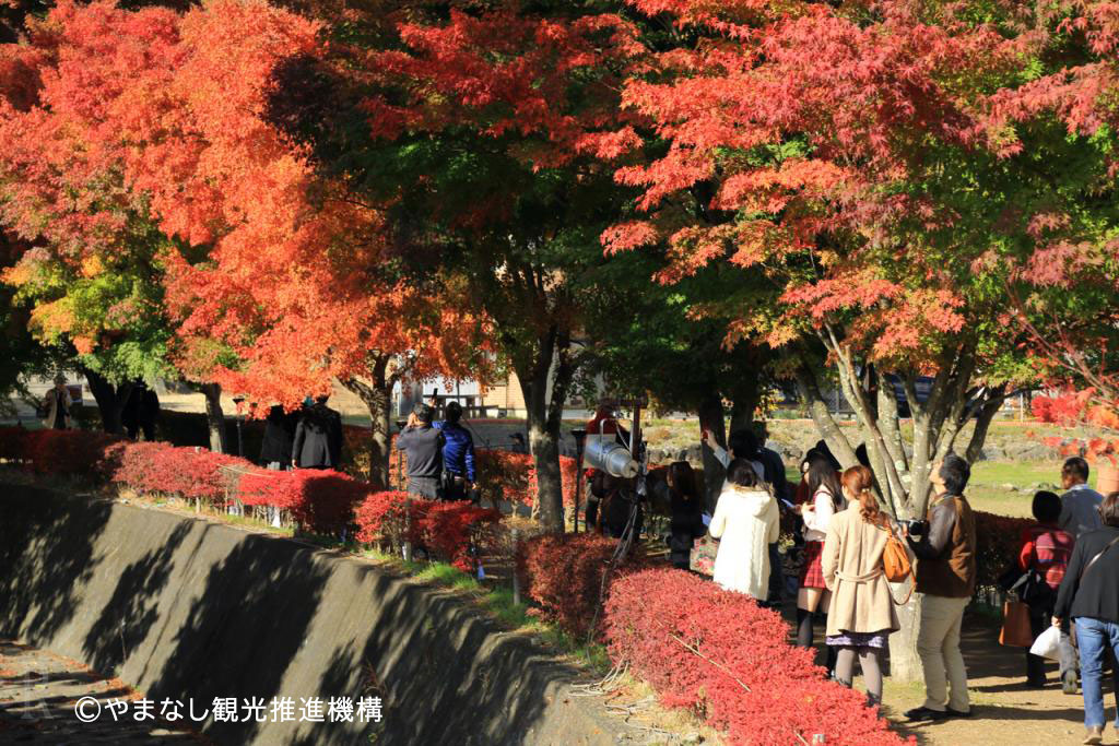 紅葉回廊