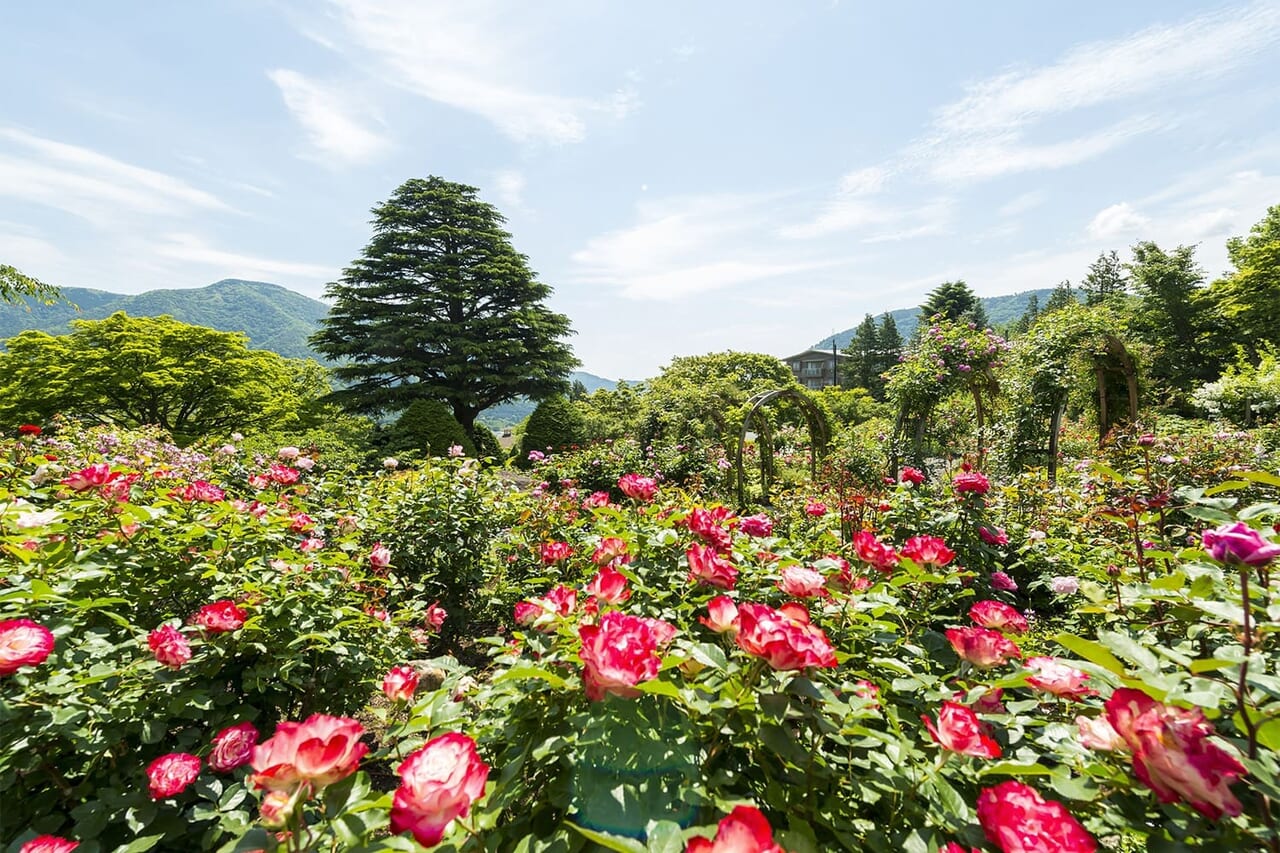 強羅公園
