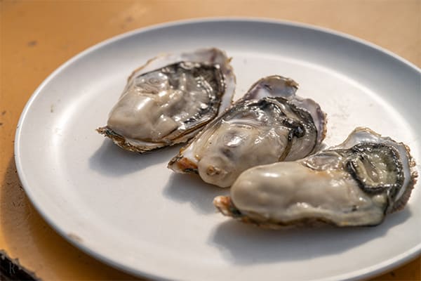 牡蠣