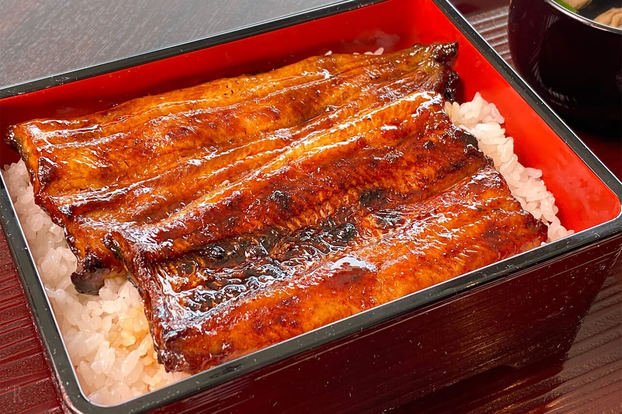 浜名湖うなぎ