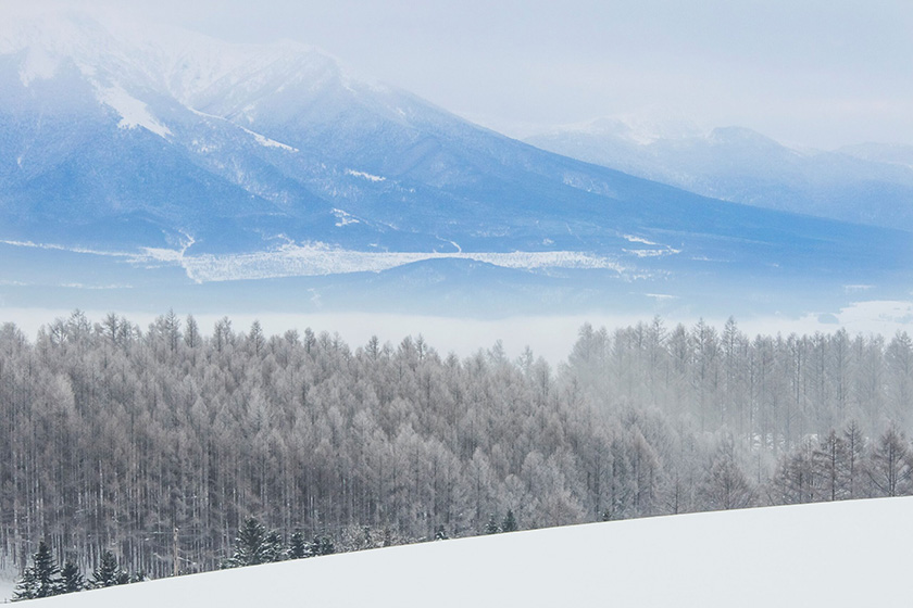 富良野スキー場