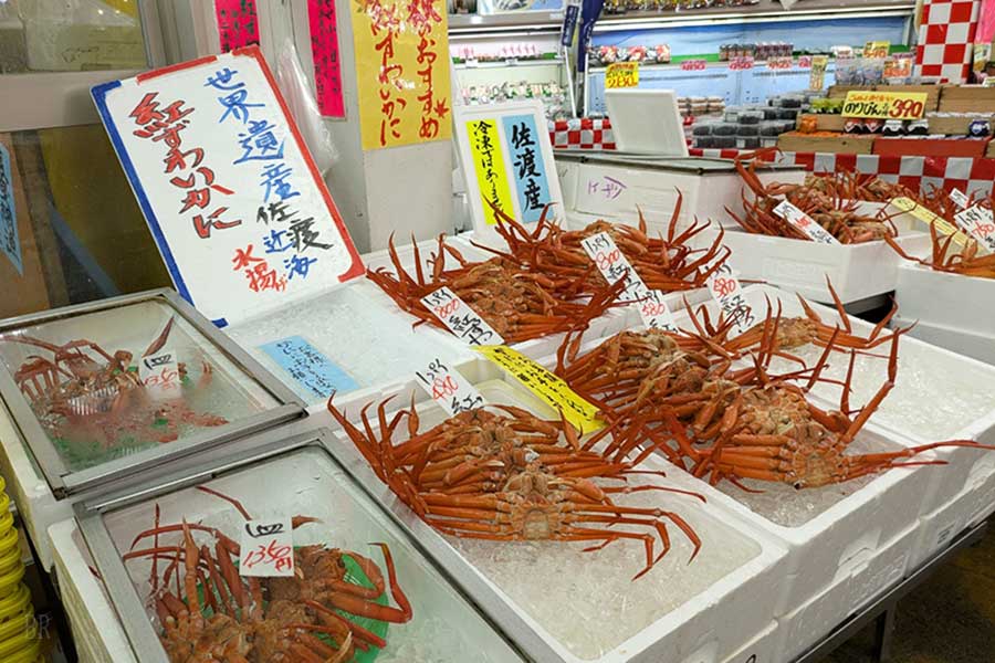 さかなや魚勢 上越 新潟 グランピング BBQ食材